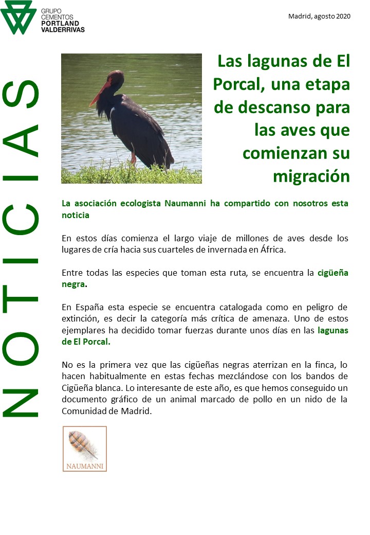 Noticia completa 