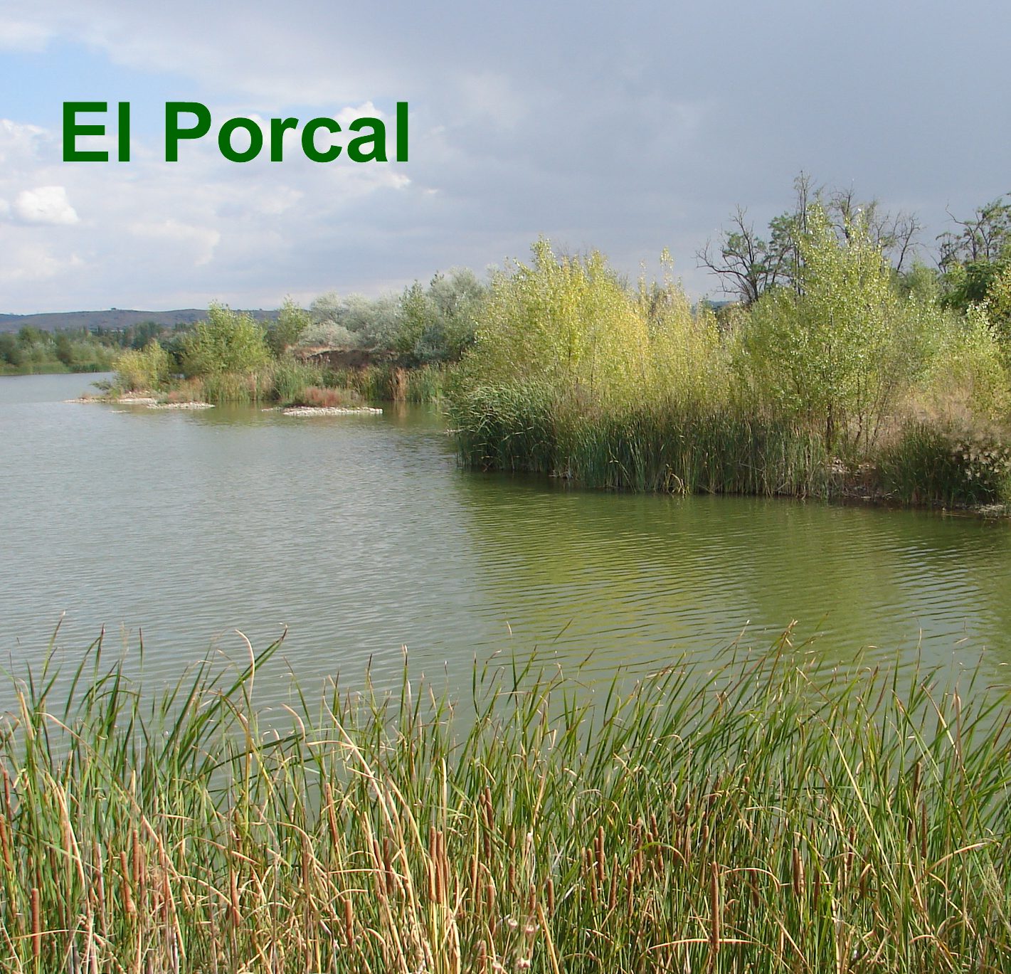 El Porcal, comienza la migración de aves